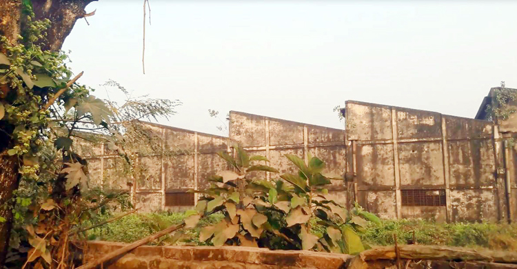 কালীগঞ্জে একদিনে হত্যা করা হয় ১৩৬ জনকে