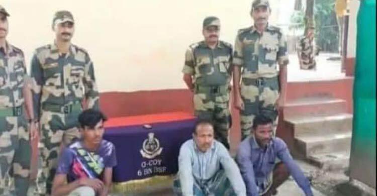 পাটগ্রাম সীমান্ত দিয়ে গরু পারাপারের সময় ৪ বাংলাদেশি আটক