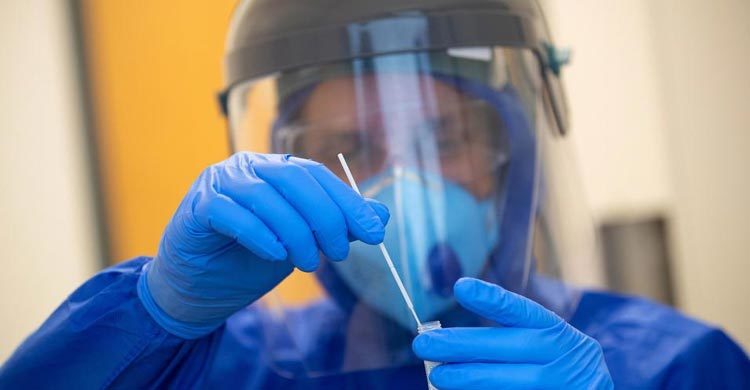 Global coronavirus cases top 24 million