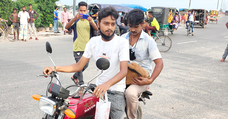 মোটরসাইকেলে ছাগল চুরি করে পালাতে গিয়ে কারাগারে