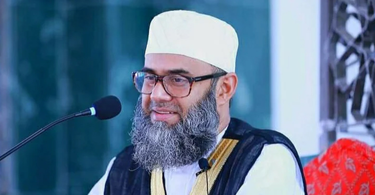 একনজরে গোলাম সারোয়ার সাঈদী