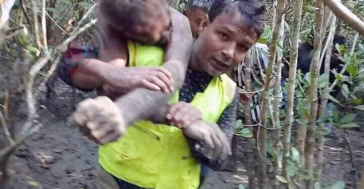 বাঘের মুখ থেকে মানুষ ছিনিয়ে আনেন টাইগার গণি