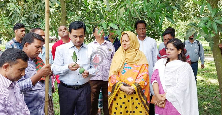 নাটোরের বাজারে মিলছে গোপালভোগ