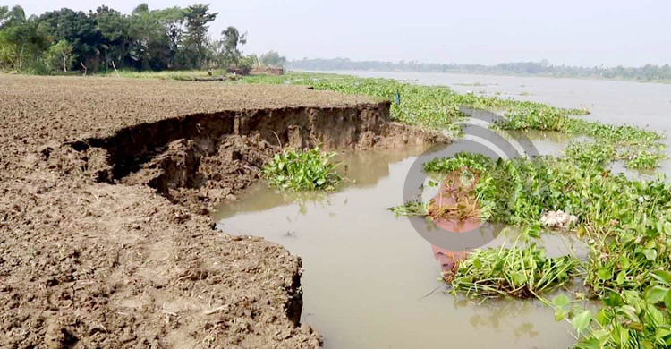 মধুমতীর তীব্র ভাঙনে বিলীন বসতবাড়ি