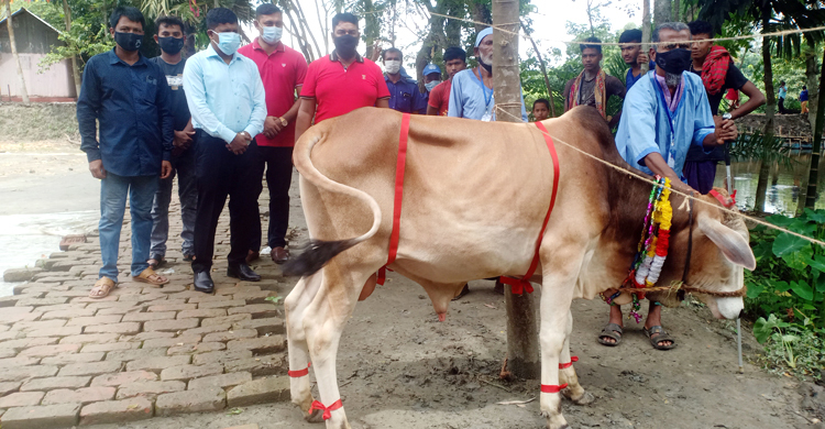 ভিক্ষুক পুনর্বাসন কেন্দ্রে কোরবানির গরু দিলেন ইউপি চেয়ারম্যান