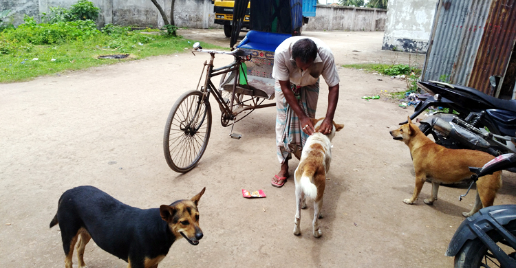Gopalganj-Dog-Love-1