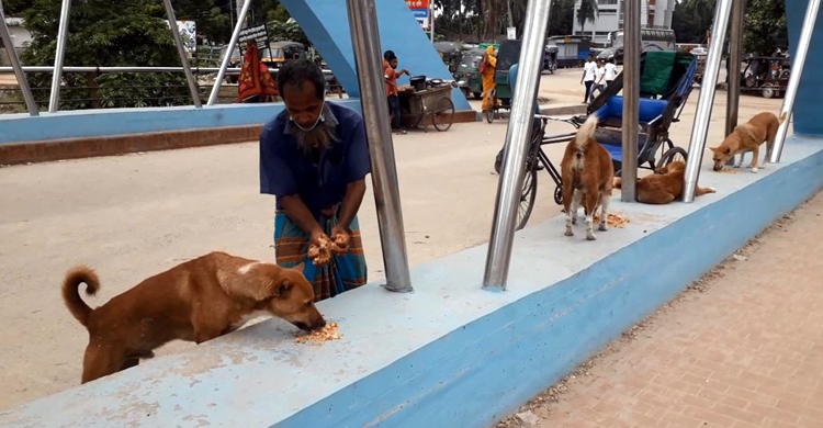 Gopalganj-Dog-Love-1