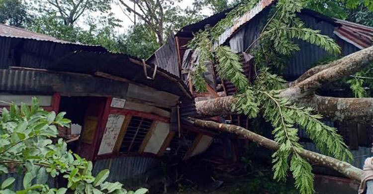 গোপালগঞ্জে বুলবুলের তাণ্ডবে শতাধিক ঘরবাড়ি বিধ্বস্ত, নিহত ১