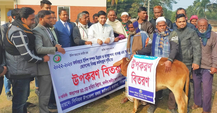 গরু পেলো সিরাজগঞ্জের ২০ জেলে পরিবার