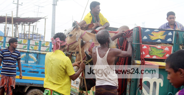 পশুবাহী যানবাহনের নিরাপত্তা ও ফেরিতে অগ্রাধিকার দিতে চিঠি