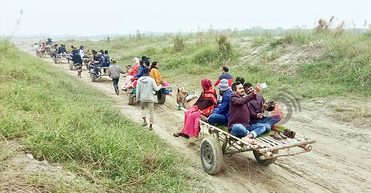 আধুনিকতায় হারিয়ে যাচ্ছে গরু-মহিষ-ঘোড়ার গাড়ি