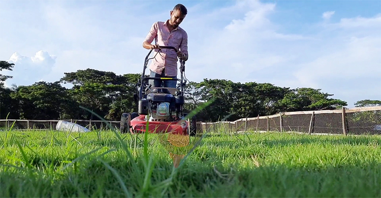 ঘাস চাষে যুবকের মাসিক আয় লাখ টাকা