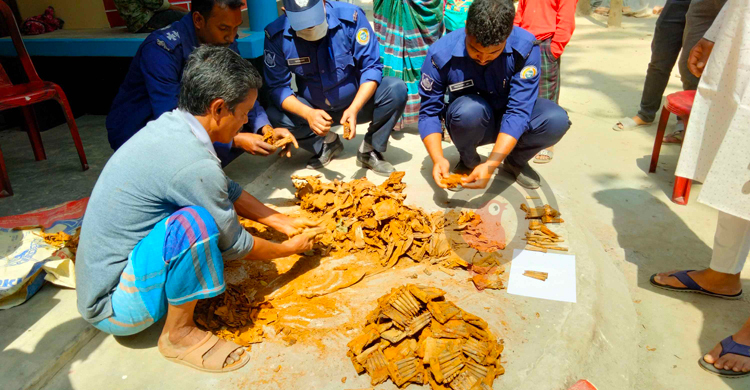 তিন ফুট মাটির নিচে বাক্সে মিললো ১৫৫৪ গুলি