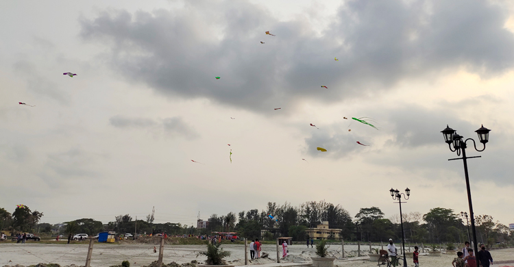 ঘুড়ি উৎসবে মাতলো সবাই
