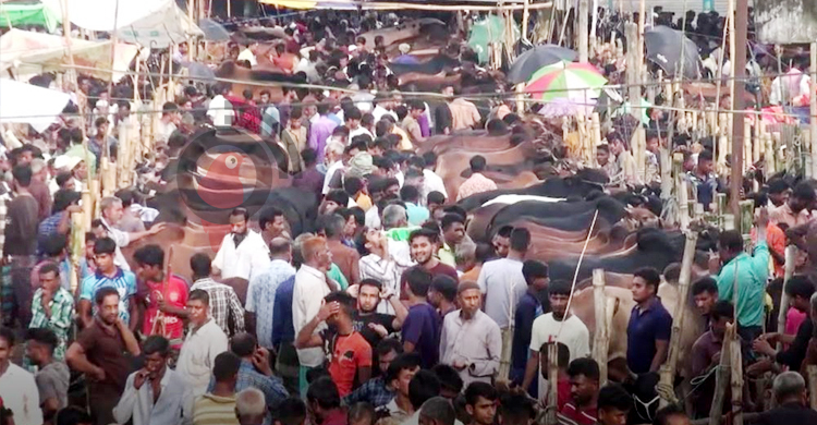 ক্রেতা আসছেন দেখছেন তবে কিনছেন না