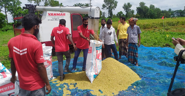 ইয়ানমার হারভেস্টারে ধানের সাশ্রয়