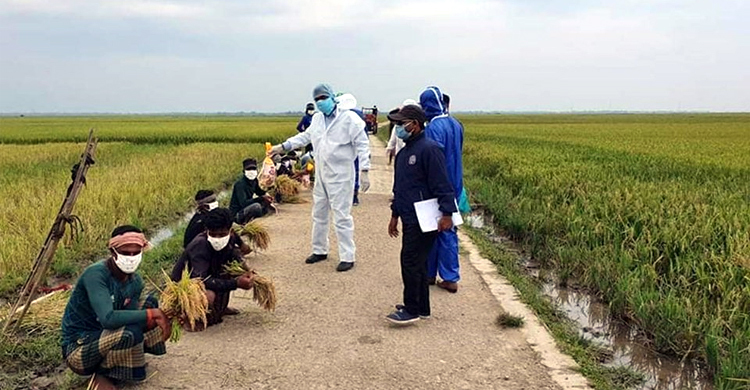 কৃষকদের জন্য খাবার নিয়ে হাওরে ডিসি