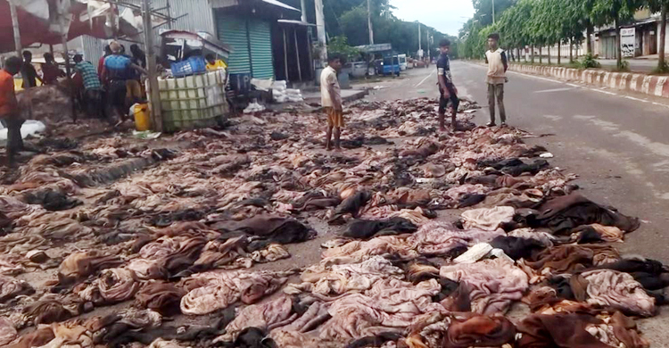 হবিগঞ্জ শহরের প্রবেশমুখে চামড়ার স্তূপ, দুর্গন্ধে ভোগান্তি