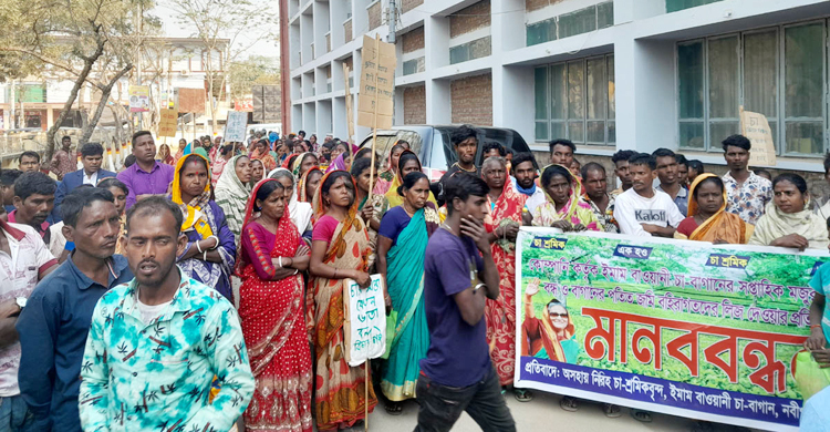 বকেয়া মজুরির দাবিতে চা শ্রমিকদের বিক্ষোভ