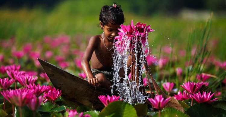 দেশের তৃতীয় রামসার সাইট হচ্ছে হাকালুকি হাওর!