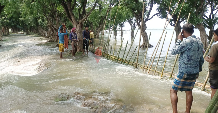 গুরমার হাওরে বাঁধ উপচে ঢুকছে পানি