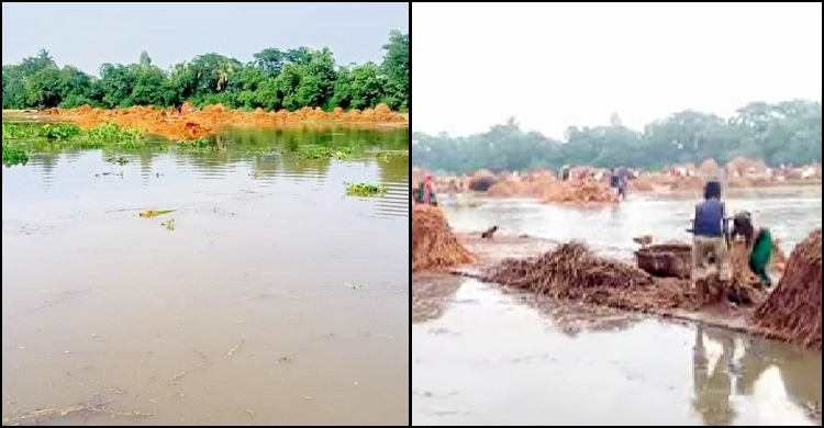 হাওরে পানি ঢুকে ভিজলো তিন ইউনিয়নের শুকনো ধান-খড়