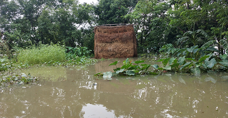 বন্যা পরিস্থিতি কাটাতে সময় লাগবে হাওরে