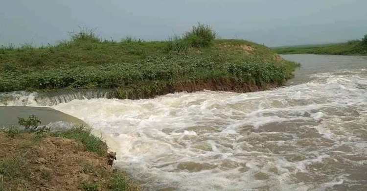 টাঙ্গুয়ার হাওরে ফের ভাঙলো বাঁধ, পানির নিচে ১০০ একর বোরো ফসল