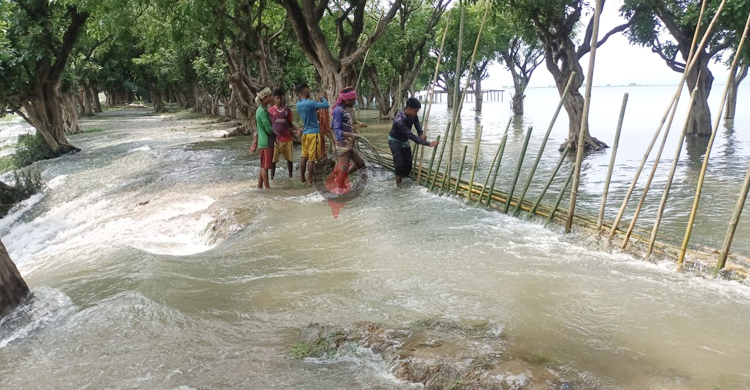 গুরমার হাওরে বাঁধ উপচে ঢুকছে পানি