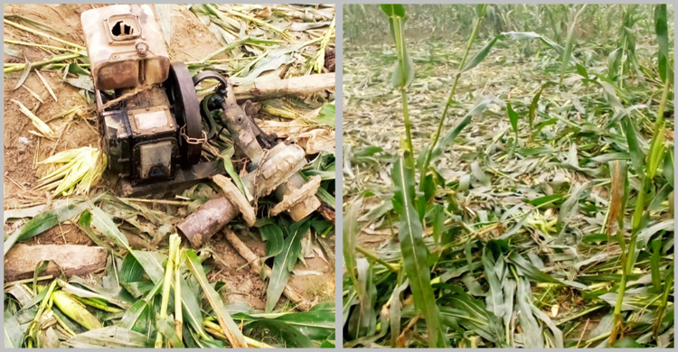 কুড়িগ্রাম সীমান্তে হাতির তাণ্ডব, আতঙ্কে গ্রামবাসী