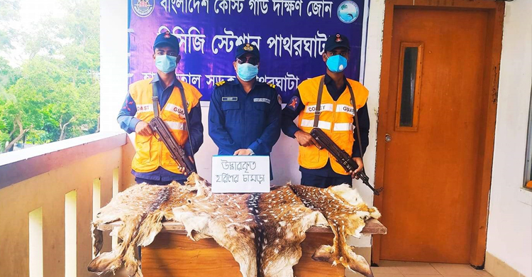 ব্যাগের ভেতর মিলল ৩টি হরিণের চামড়া