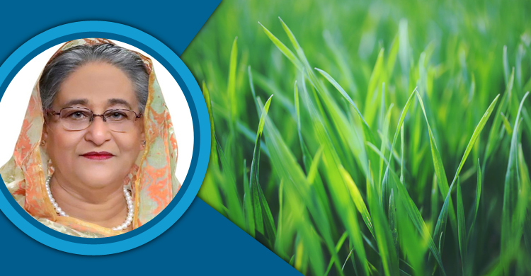 ঘাস চাষ শিখতে বিদেশ সফরে বরাদ্দ সংখ্যা কমানোর নির্দেশ