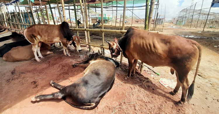 ‘এইবার ব্যবসা খাইছে অনলাইন’