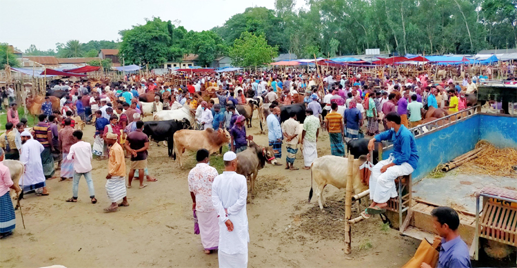 থানার পাশেই বসল হাট, লকডাউন উপেক্ষা করে জনসমাগম