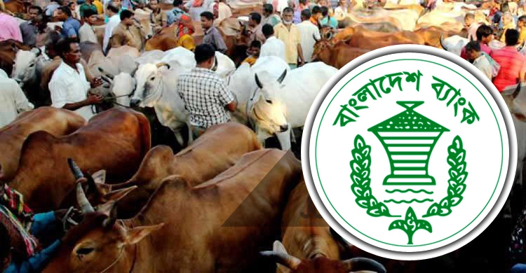 হাটের পাশে ব্যাংক খোলা, লেনদেন রাত ৮টা পর্যন্ত