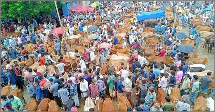 কোলা হাটের খাস আদায়ের টাকা হরিলুটের অভিযোগ