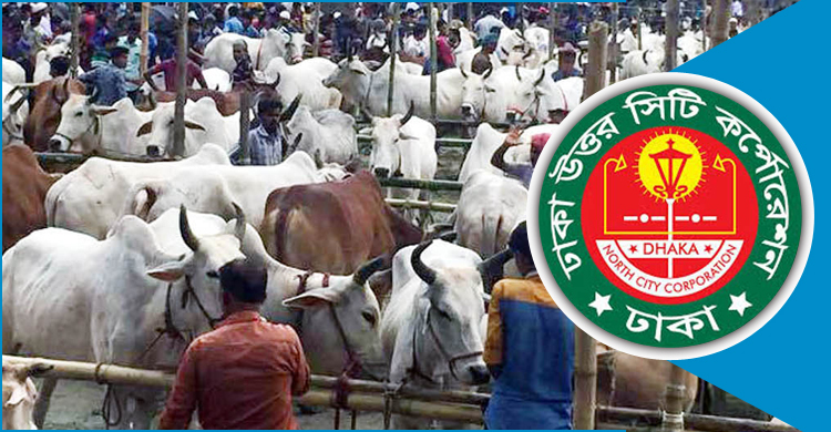 ডিএনসিসির ডিজিটাল হাটের উদ্বোধন