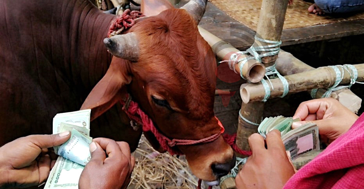 হাটে হাটে হাসিল ‘সন্ত্রাস’