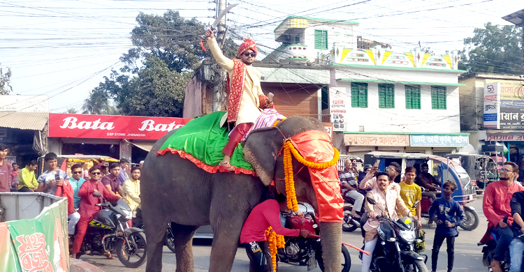 রাজকীয় বেশে হাতির পিঠে চড়ে কনেকে আনতে গেলেন বর