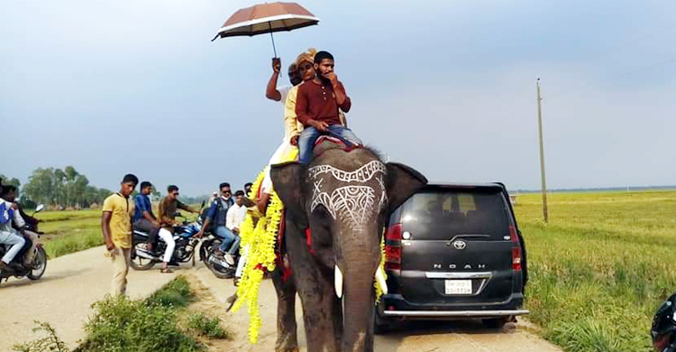 বর এলেন হাতির পিঠে