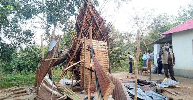 লোকালয়ে বন্য হাতি, জনমনে আতঙ্ক