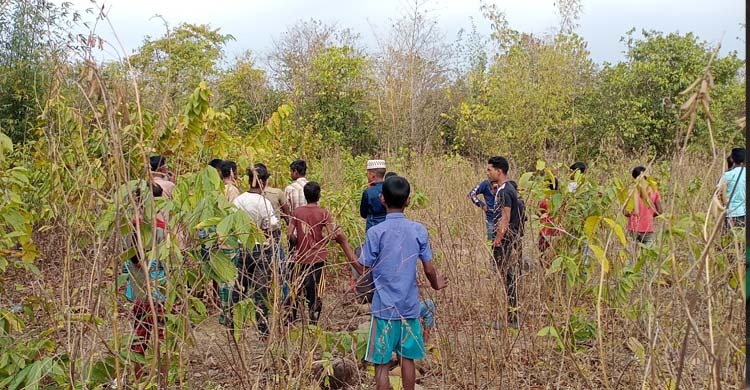 হাতি থেকে বাঁচতে মানুষের লড়াই, চায় স্থায়ী সমাধান