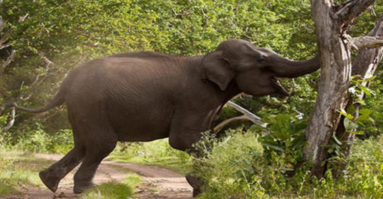 বিপদ বুঝতে পেরে মেয়েকে নিরাপদে রেখে প্রাণ দিলেন বাবা