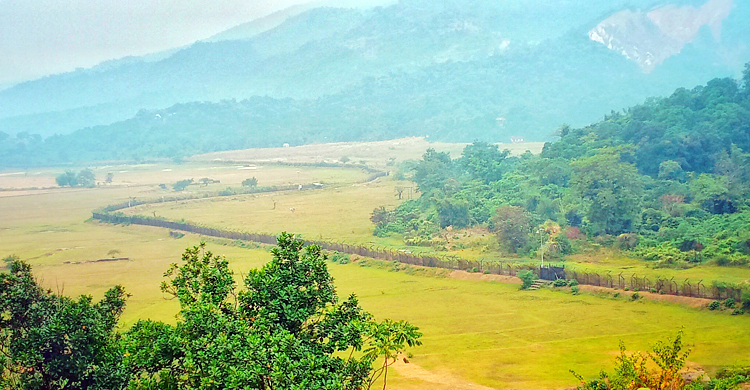 সীমানা পেরিয়ে বাংলাদেশে ঢুকলো পাঁচ বন্যহাতি