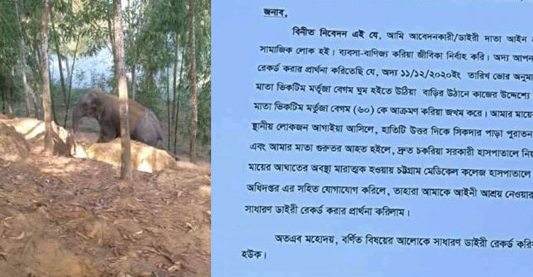 কক্সবাজারে হাতির বিরুদ্ধে থানায় জিডি যুবকের