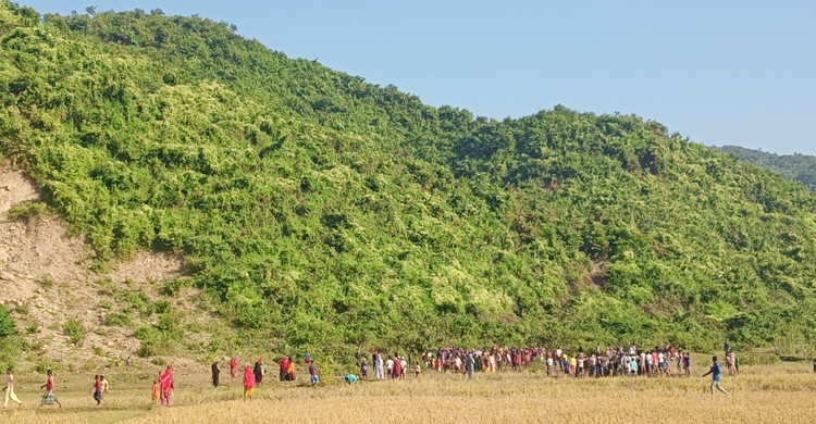 নেত্রকোনায় ধানক্ষেত থেকে বন্যহাতির মরদেহ উদ্ধার