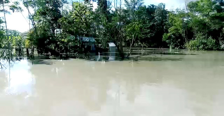 হাতিয়ায় জোয়ারের পানিতে প্লাবিত ২০ গ্রাম