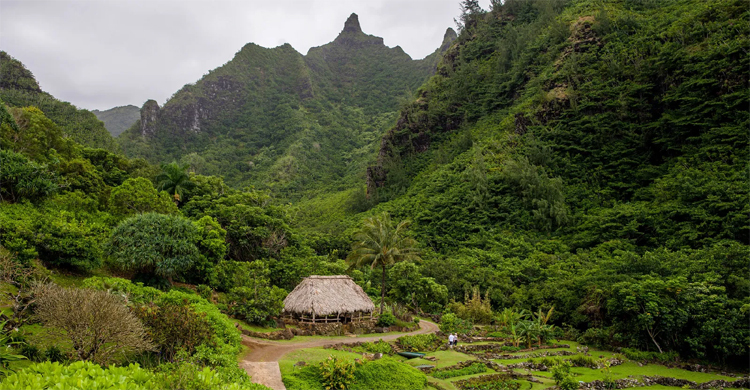 Hawaii's ancient land management system