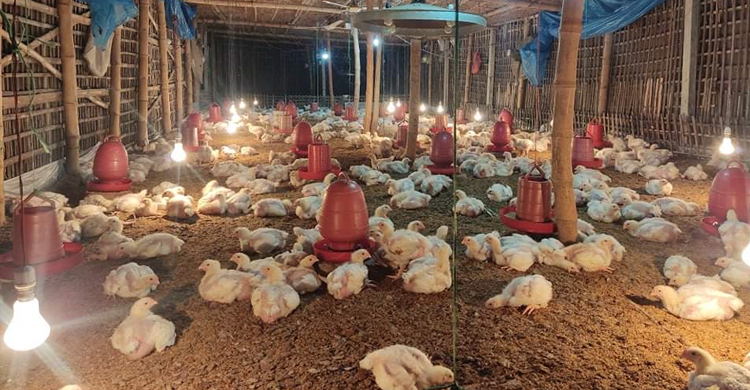 মাদক ব্যবসা ছেড়ে সফল উদ্যোক্তা মাজেদ