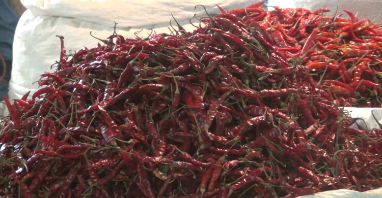 হিলিতে বেড়েছে শুকনো মরিচের দাম